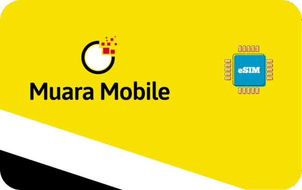 Brunei eSIM